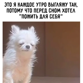Работа — стикер для MAX