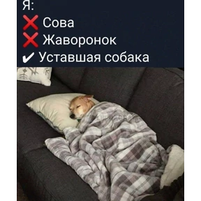 Работа — стикер для MAX