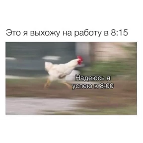 Работа — стикер для MAX