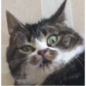 Пупу — стикер для MAX
