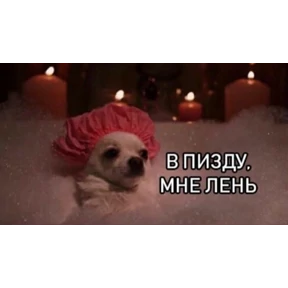 Мем — стикер для MAX