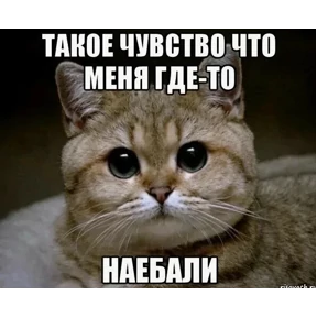 Разное — стикер для MAX