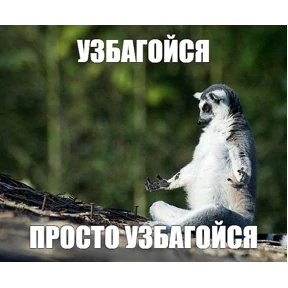 Разное — стикер для MAX