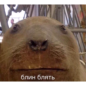 Нас бьют, мы летаем — стикер для MAX