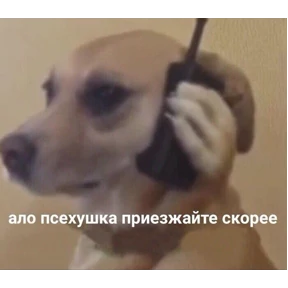 Нас бьют, мы летаем — стикер для MAX
