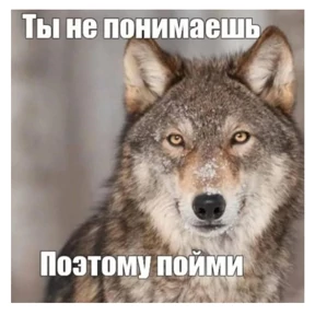 work — стикер для MAX