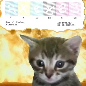 work — стикер для MAX