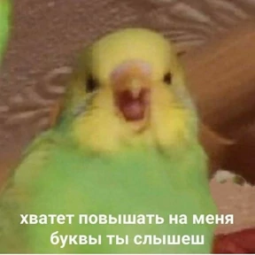 лилька шпилька — стикер для MAX