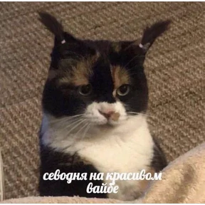 База 126 — стикер для MAX