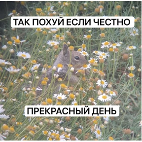 База 126 — стикер для MAX