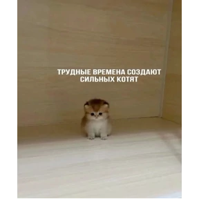 Нормальные стикеры в MAX — стикер для MAX
