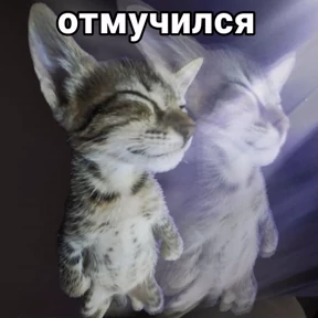 Нормальные стикеры в MAX — стикер для MAX