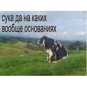 Нормальные стикеры в MAX — стикер для MAX