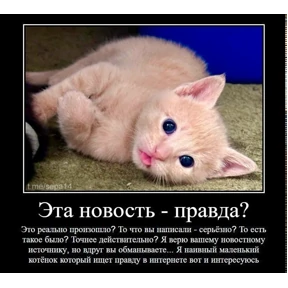 спороч кароч! — стикер для MAX