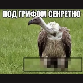 Дианское — стикер для MAX