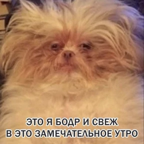 Дианское — стикер для MAX