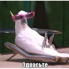 Дианское — стикер для MAX