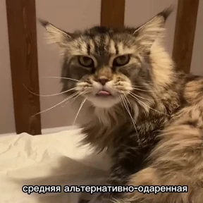 Дианское — стикер для MAX
