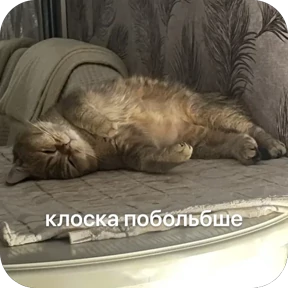 Булосьная полисия — стикер для MAX