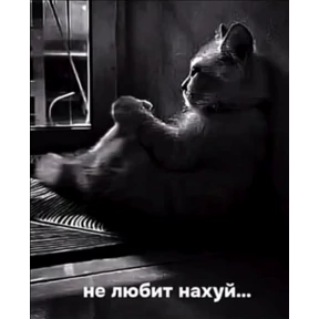 yumoreski — стикер для MAX