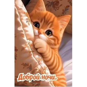 Доброй ночи — стикер для MAX