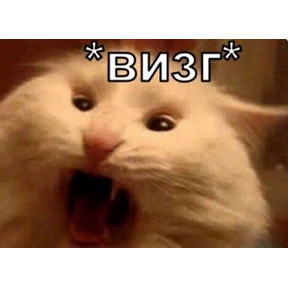 Котики — стикер для MAX