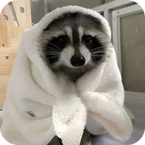 Енотики — стикер для MAX