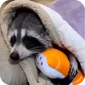 Енотики — стикер для MAX