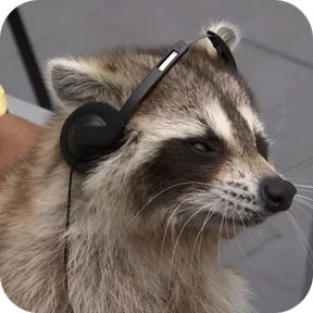 Енотики — стикер для MAX