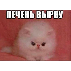 спороч кароч! — стикер для MAX