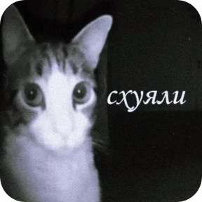 Тг mem stickers — стикер для MAX