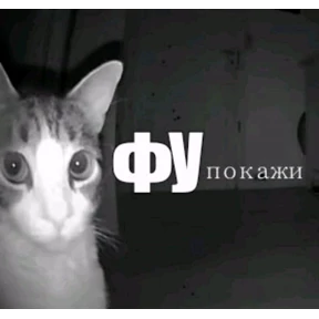 База 126 — стикер для MAX