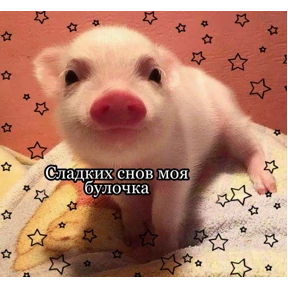 База 126 — стикер для MAX