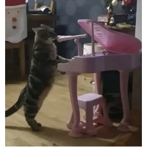 Для родных — стикер для MAX