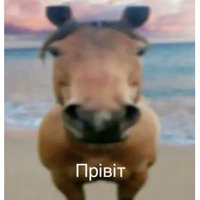 Для родных — стикер для MAX