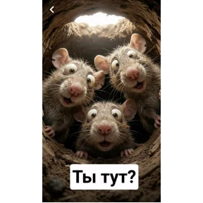 ххх — стикер для MAX