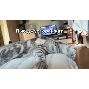 Малышонок — стикер для MAX