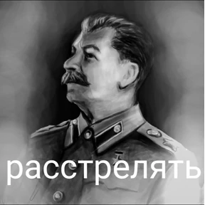 Тест стикер — стикер для MAX
