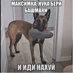 База 126 — стикер для MAX