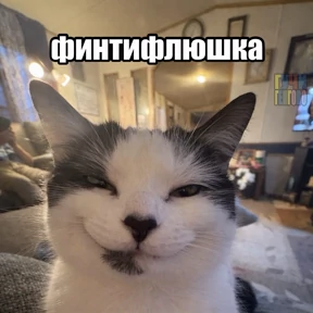 База 126 — стикер для MAX