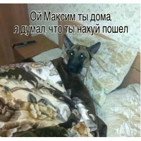 База 126 — стикер для MAX