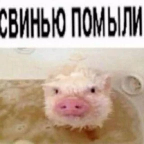ляля — стикер для MAX