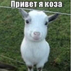 ляля — стикер для MAX