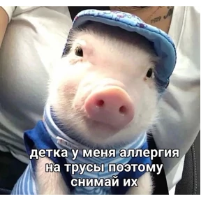 База 126 — стикер для MAX