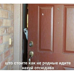 База 126 — стикер для MAX