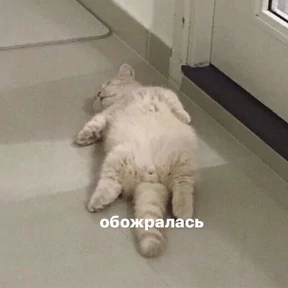 База 126 — стикер для MAX