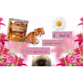 День дня — стикер для MAX
