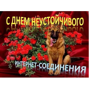 День дня — стикер для MAX