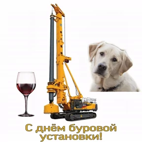 День дня — стикер для MAX