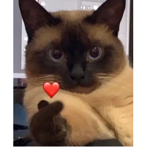 Стикерпак Котики для мессенджера MAX